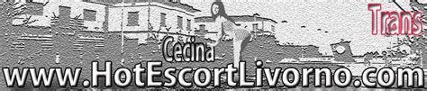 escort trans cecina|Trans Cecina 